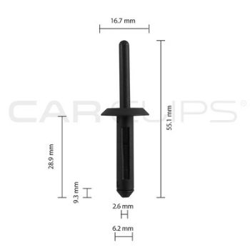 Picture of Car Clip GM Rivet CC10201